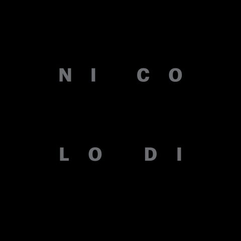 Renato Nicolodi. Ni Co Lo Di (Hardback)