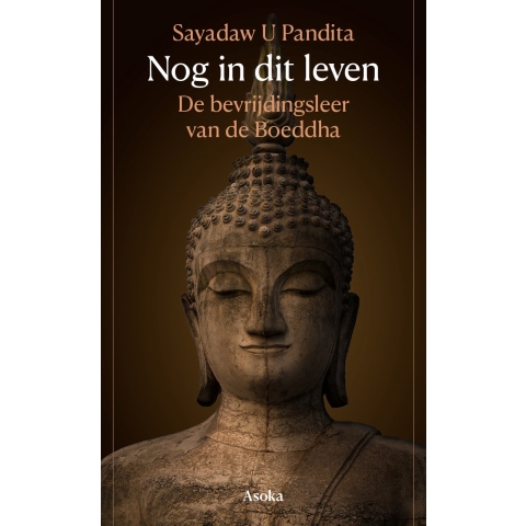 Nog in dit leven (Paperback)