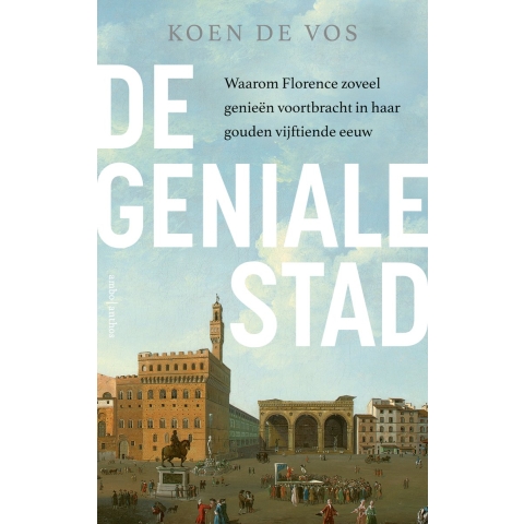 De geniale stad (Paperback)