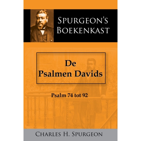 De Psalmen Davids 3 (Paperback)