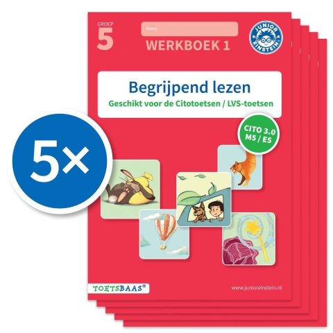 Begrijpend lezen werkboek 1 (Set van 5) (Paperback)