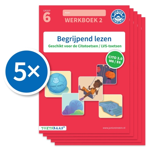 Begrijpend lezen werkboek 2 (Set van 5) (Paperback)
