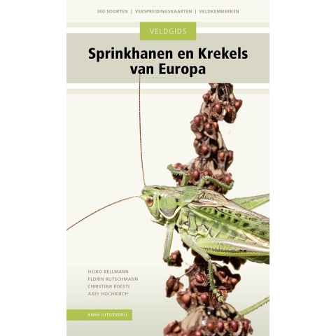 Veldgids Sprinkhanen en krekels van Europa (Paperback)