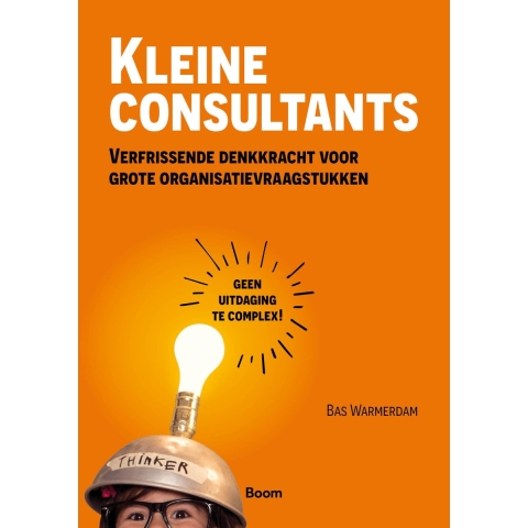 Kleine consultants (Paperback)