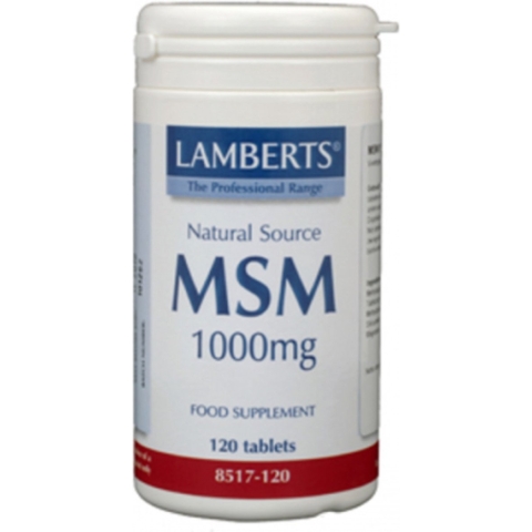 Lamberts MSM 1000mg Tabletten