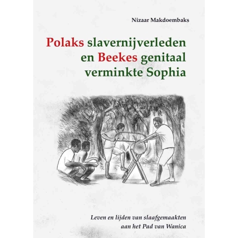 Polaks slavernijverleden en Beekes genitaal verminkte Sophia (Paperback)