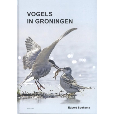 Vogels in Groningen (Paperback)
