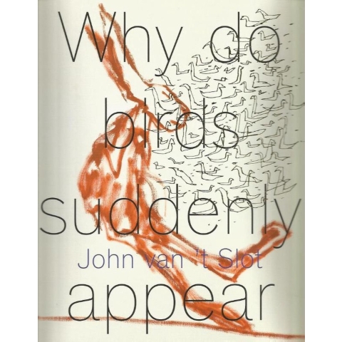 John van &apos;t Slot - Why do birds suddenly appear? (Paperback)