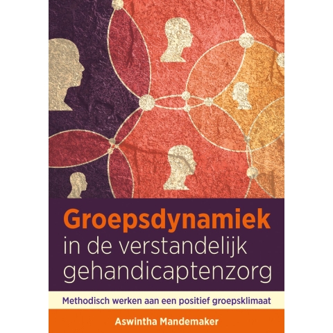 Groepsdynamiek in de verstandelijk gehandicaptenzorg (Paperback)