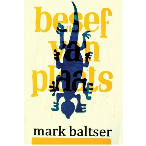 Besef van Plaats (Paperback)