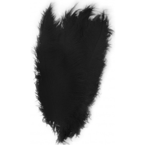 10x Pieten veren/struisvogelveren zwart 50 cm verkleed accessoir -