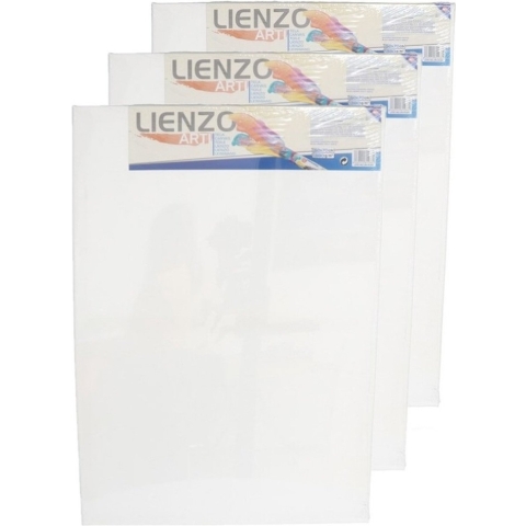 Canvas schildersdoek - 4x stuks - 70 x 50 cm - rechthoek - hobby verven/schilderen - DIY schilderije -