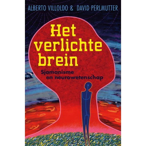Het verlichte brein (Paperback)