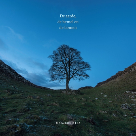 De aarde, de hemel en de bomen (Paperback)