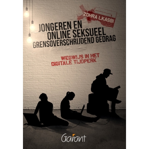Jongeren en online seksueel grensoverschrijdend gedrag (Paperback)