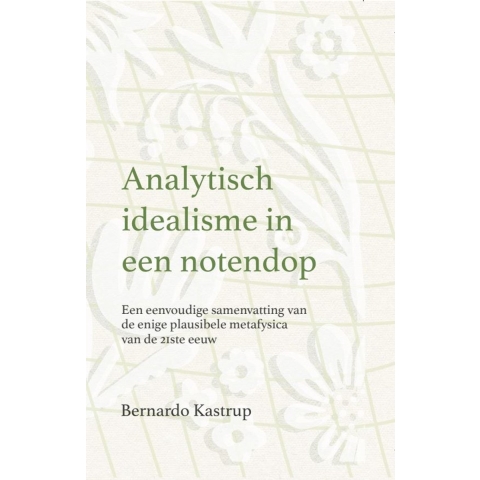 Analytisch idealisme in een notendop (Hardback)