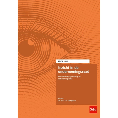 Inzicht in de ondernemingsraad (Paperback)