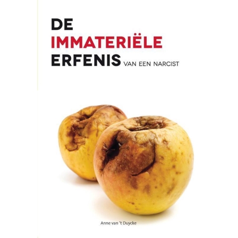De immateriele erfenis van een narcist (Paperback)