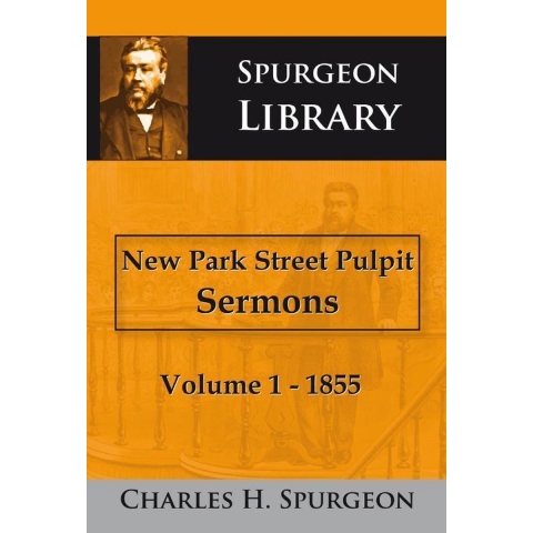 New Park Street Pulpit Sermons (Paperback)