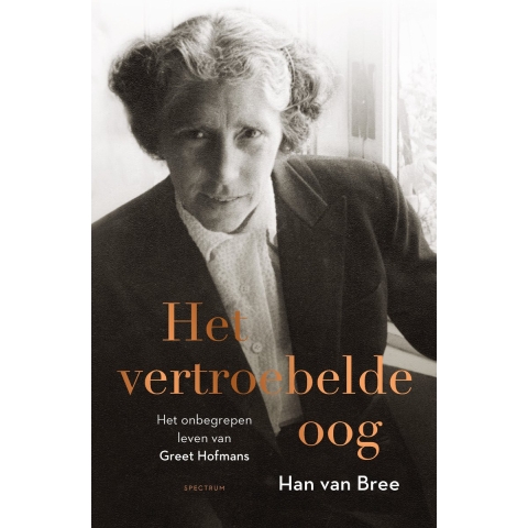 Het vertroebelde oog (Hardback)