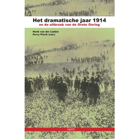 Het dramatische jaar 1914 en de uitbraak van de Grote Oorlog (Paperback)