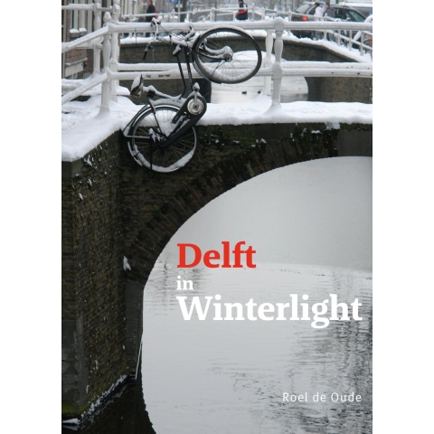 Delft in Winterlight (Hardback)