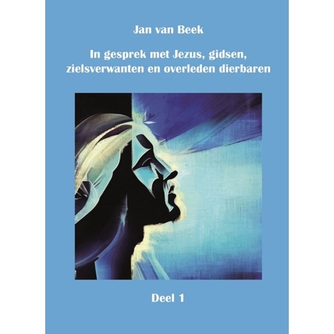In gesprek met Jezus, gidsen, zielsverwanten en overleden dierbaren (Paperback)