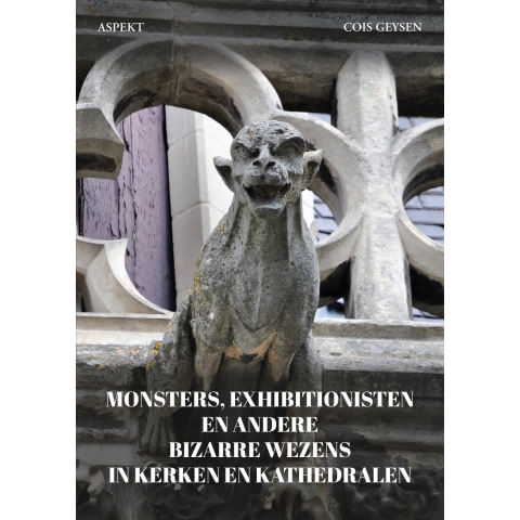 Monsters, exhibitionisten en andere bizarre wezens in kerken en kathedralen (Paperback)