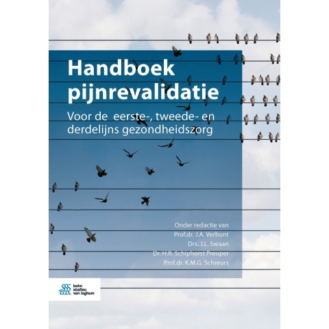 Handboek pijnrevalidatie (Paperback)