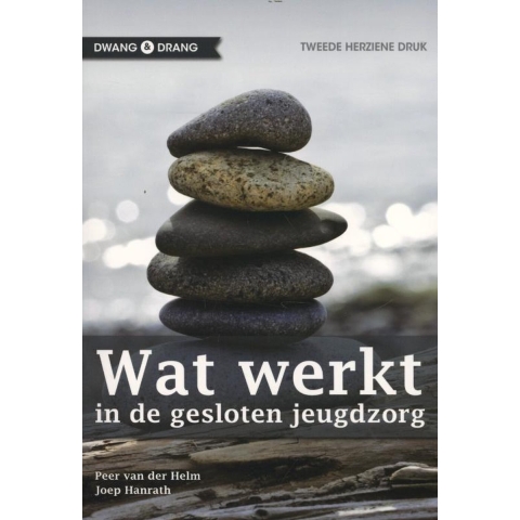Wat werkt (Paperback)