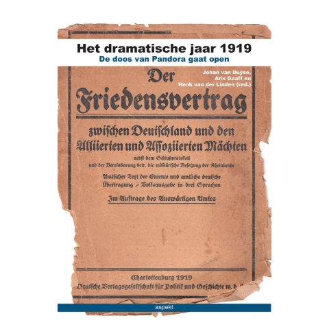 Het dramatische jaar 1919 (Paperback)
