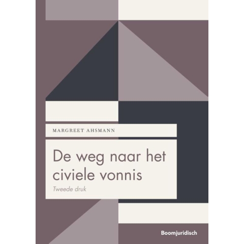 De weg naar het civiele vonnis (Paperback)