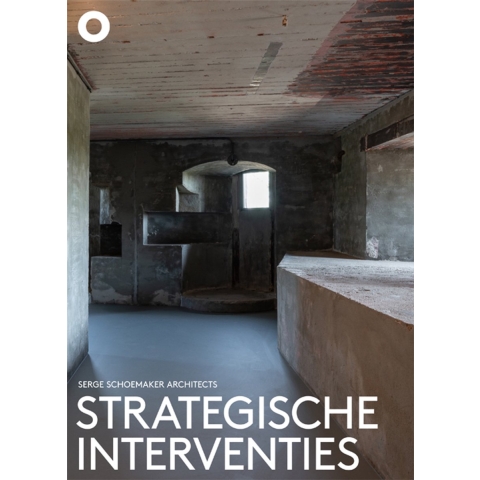 Strategische interventies (Paperback)