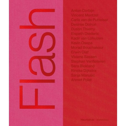 Flashback (Hardback)