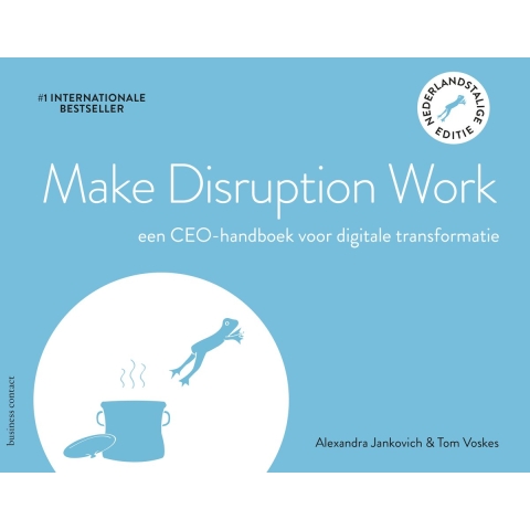 Make Disruption Work (Paperback)