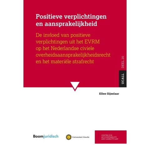 Positieve verplichtingen en aansprakelijkheid (Paperback)