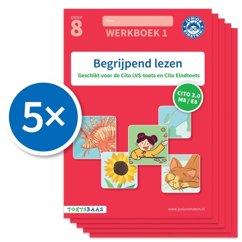 Begrijpend lezen 1 (Set van 5) (Paperback)