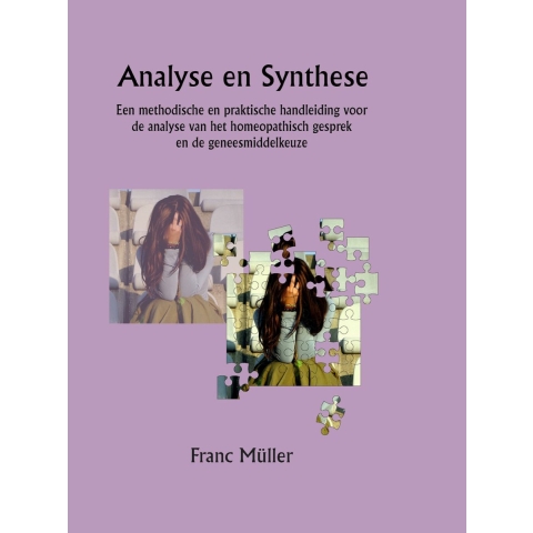 Analyse en Synthese (Hardback)