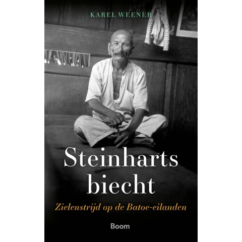 Steinharts biecht (Paperback)