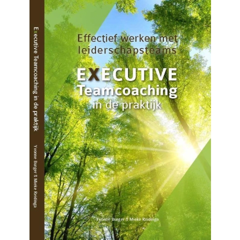 Executive Teamcoaching in de praktijk (Paperback)