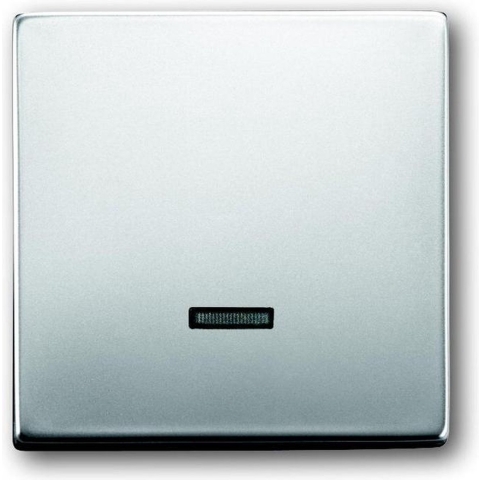 Busch-Jaeger 6543-866-101 Ingangsmodule Zonder opdruk RVS 1 stuk(s)