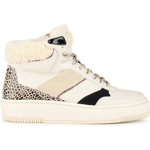 PS Poelman P7153 Sneakers