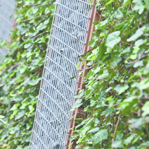 Gaaselement 90 cm verzinkt, maaswijdte 5,0x5,0 cm Tuindeco - Tuindeco