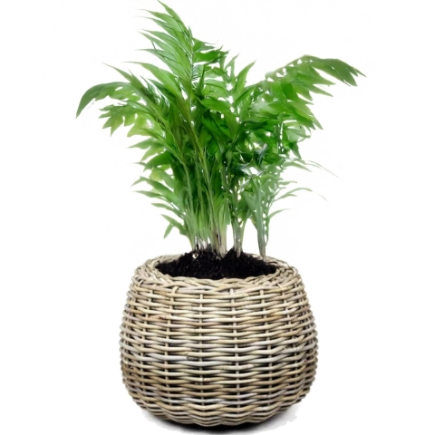 Planten/bloemen mand - rond - rotan - gevlochten riet - D45 x H34 cm - drypot -