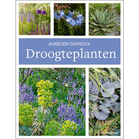 Droogteplanten (Paperback)