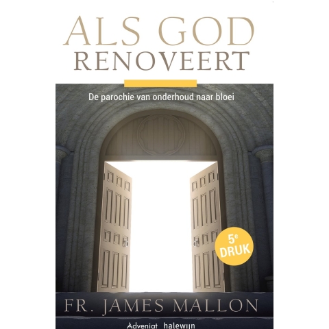 Als God renoveert (Paperback)