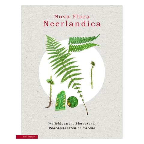 Nova Flora Neerlandica (Hardback)