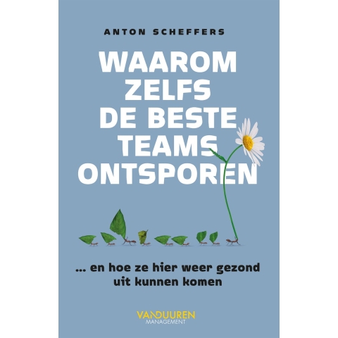 Waarom zelfs de beste teams ontsporen (Paperback)