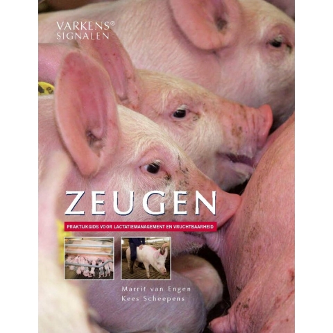 Zeugen (Paperback)