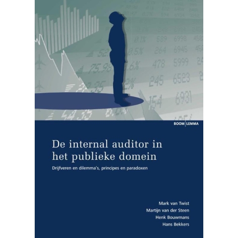 De internal auditor in het publieke domein (Paperback)